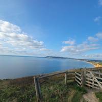 Isle of Wight & de zuidkust - in kleine groep - vanuit Londen - 3 dagen: foto van de reiziger #3