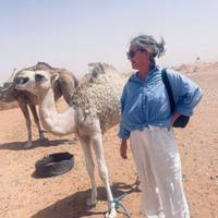 10-daagse privéreis naar Marokko vanuit Casablanca: foto van de reiziger #3