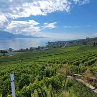 Prachtig Zwitserland: foto van de reiziger #1