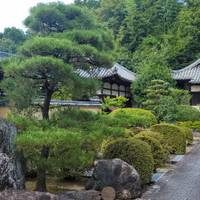 9D Espléndido Japón Deluxe-Hoteles Privados 4 Estrellas|Osaka a Tokio: foto del viajero #1