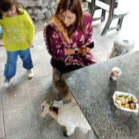 Explora el Norte de Pakistán - Hunza, Skardu y el Campamento Base del Nanga Parbat: foto del viajero #1