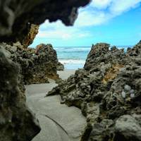 Circuito de 3 días a la isla Canguro: foto del viajero #2