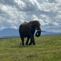 Photo de voyageur 11 jours - Le Cap, la Route des Jardins et le Kruger #2