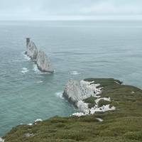 Isle of Wight & de zuidkust - in kleine groep - vanuit Londen - 3 dagen: foto van de reiziger #2