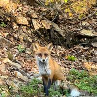 Siebenbürgen in 3 Tagen ab Bukarest (Kleingruppenreise Reise-Foto #3