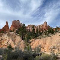 De Mighty 5 - vanuit Salt Lake City: foto van de reiziger #3