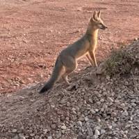 Grand Canyon & südwest Nationalpark Rundreise - 7 Tage Reise-Foto #3