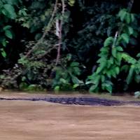 Vive Borneo - viaje de ida y vuelta por Sabah Oriental: foto del viajero #2