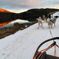 Photo de voyageur Norvège Fjords et aurores boréales (à partir de novembre 2025) #2