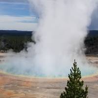 Grand Teton & Yellowstone - wildlife-avontuur in de nationale parken - 2 dagen, 1 nacht: foto van de reiziger #2