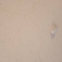 Toskanische Köstlichkeiten Reise-Foto #1