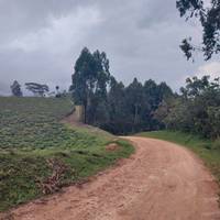 11 Days Uganda Plus Gorillas traveler photo #2