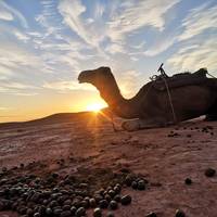 Marrakech Marokko naar Atlas Trek &amp; Merzouga Desert Glamping 8 Dagen privéreis: foto van de reiziger #2