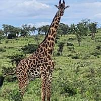 Regenwouden en riffen: foto van de reiziger #1