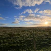 5 días en Dublín incluyendo la Calzada del Gigante, los Acantilados de Moher, la Ciudad de Galway y los Castillos de Cahir: foto del viajero #3