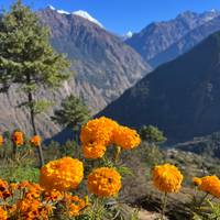 Excursionismo por el Valle de Langtang: foto del viajero #1