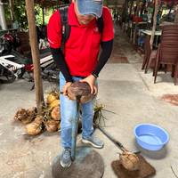 Photo de voyageur Les splendeurs du Vietnam, du Cambodge et de la Thaïlande 18 jours #3