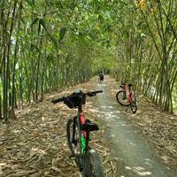 Fietsen in de Mekong Delta in Vietnam 5 dagen: foto van de reiziger #2