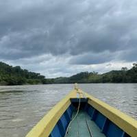 Chiapas Ikonen: Eine Reise durch Geschichte und Natur Reise-Foto #1