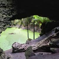 Ultimate Tasmania - 10 Day Comfort Tour of Tasmania traveler photo #3