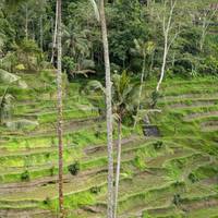 5 Days Unforgettable Experience Tour Bali - Nusa Penida traveler photo #3