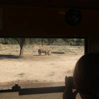 De absolute safari: foto van de reiziger #1