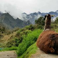 Inca Trail 4 days to Machu Picchu with Vistadome Train traveler photo #1