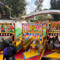 A Taste of Mexico City, City Break traveler photo #2