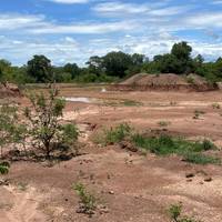 Photo de voyageur Depuis Livingstone : 3 jours de safari dans le parc national de Kafue (partie sud), gestion de la zone de Ngoma. #3
