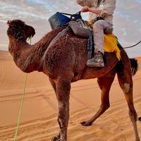 Beste 8 daagse woestijntocht vanuit Marrakech: foto van de reiziger #3