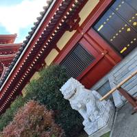 Japan – een budget-rondreis voor kleine groepen – 7 dagen: foto van de reiziger #1