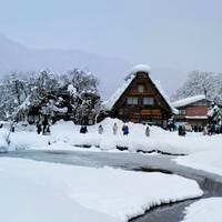 Explore Japan: Snow Monkey & Onsen (Private Guided) traveler photo #1
