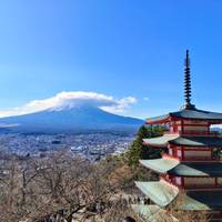 Explore Japan: Snow Monkey & Onsen (Private Guided) traveler photo #2