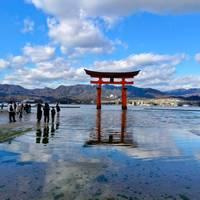 Explore Japan: Snow Monkey & Onsen (Private Guided) traveler photo #3