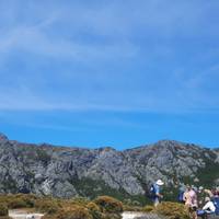 Ultimatives Tasmanien - 10 Tage Komfort- durch Tasmanien Reise-Foto #2