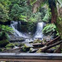 Ultimatives Tasmanien - 10 Tage Komfort- durch Tasmanien Reise-Foto #3