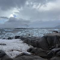 Expeditionsreise in die Antarktis Reise-Foto #2