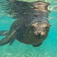 Photo de voyageur Galápagos Multisport #3