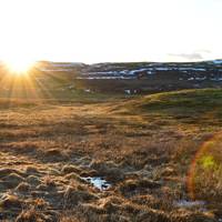 Iceland Northern Lights & Golden Circle traveler photo #3