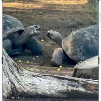 Galápagos Multisport mit Quito Reise-Foto #3