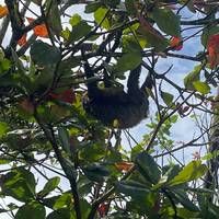 Viajes: Descubre Costa Rica Viajes de National Geographic: foto del viajero #1