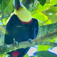 Viajes: Descubre Costa Rica Viajes de National Geographic: foto del viajero #2