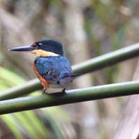 Viajes: Descubre Costa Rica Viajes de National Geographic: foto del viajero #3