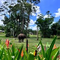 Aventura en la Costa Este de Oz 20 días: foto del viajero #2