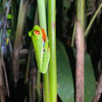 Photo de voyageur Costa Rica classique - 12 jours - One Life Adventures #3