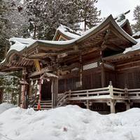 Klassisches Japan mit One Life Adventures 11 Tage Reise-Foto #1