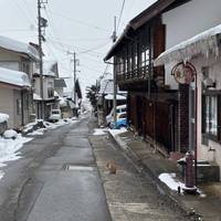 Klassisches Japan mit One Life Adventures 11 Tage Reise-Foto #2