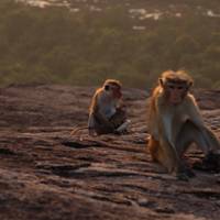 Photo de voyageur Sri Lanka - classique - 12 jours - One Life Adventures #1