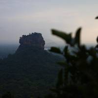 Photo de voyageur Sri Lanka - classique - 12 jours - One Life Adventures #2
