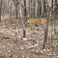 Excursión de 7 días al Triángulo de Oro con Amritsar - Templo Dorado más Taj Mahal al Atardecer o al Amanecer: foto del viajero #1